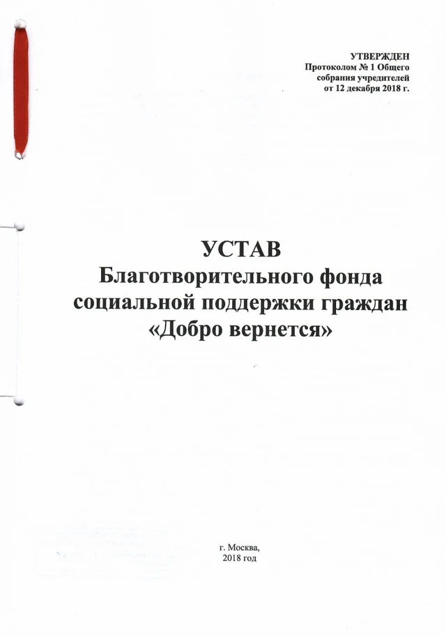 Первая страница: Устав благотворительного фонда