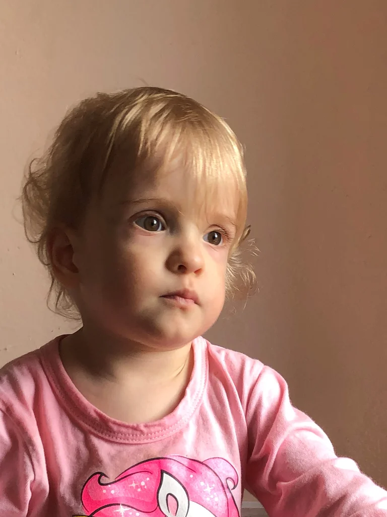 Павлоградская София
